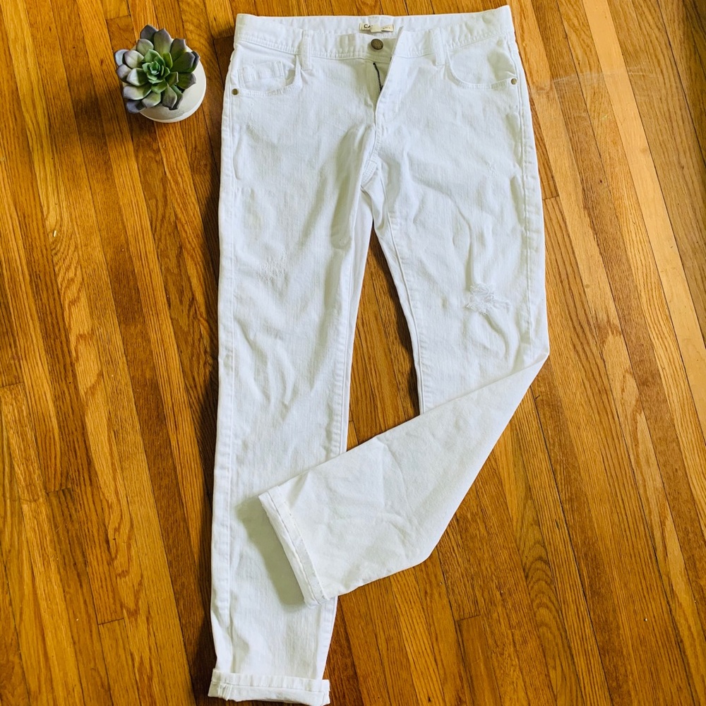 CAbi Straight Leg White Denim